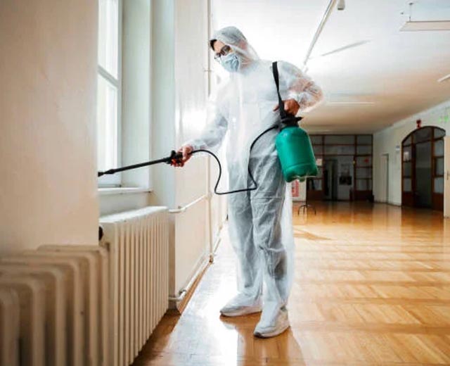 Désinfection par Insectis à Vanves (92)